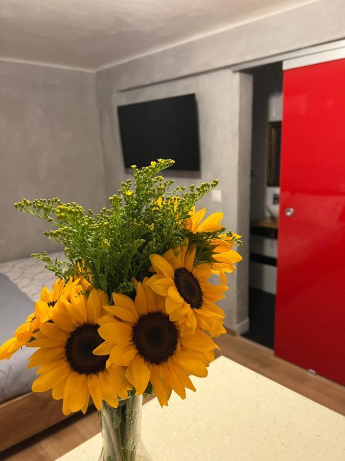 Cozy Tiny Apartment In The Heart Of Plaka Athènes Extérieur photo